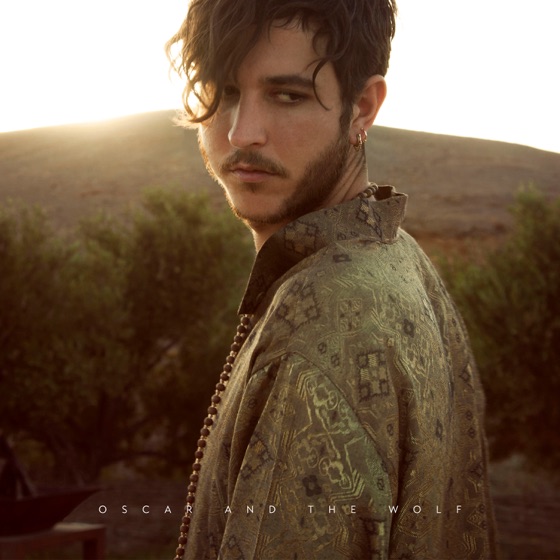 Cover artwork for Fever