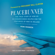 Penn Rhodeen - Peacerunner: The True Story of How an Ex-congressman Helped End the Centuries of War in Ireland