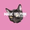 Alle Farben - Magic Delphin lyrics