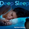 Deep Sleep