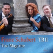 Schubert: Trii, Op. 99 & 100 artwork