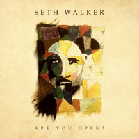 Seth Walker - Are You Open? artwork