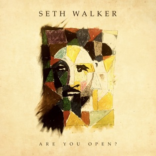 Seth Walker - Are You Open? (2019) LEAK ALBUM