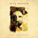 Are You Open? - Seth Walker