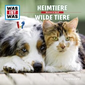 39: Heimtiere / Wilde Tiere artwork