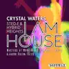 I Am House (Remixes) - EP album lyrics, reviews, download