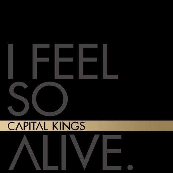 Cover artwork for I Feel so Alive (Telemitry Remix)