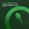 Orchidea - EP, 2017