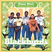 Happy Music: The Best of the Blackbyrds artwork