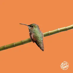 Chuparosas - Single - Taco Bambú