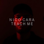 Teach Me (feat. Tulka Trio) artwork