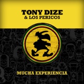 Mucha Experiencia (feat. Los Pericos) [Su Reggaeton Mix] artwork