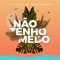 Não Tenho Medo (feat. Diego Albuquerque) - GV3 & Gui Brazil lyrics