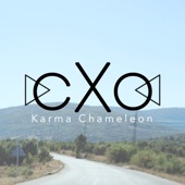 Karma Chameleon artwork