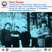 Twin Peaks - Shake Your Lonely