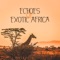 Wild Freedom - African Music Drums Collection lyrics