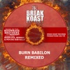 Burn Babylon Remixed (feat. Neekoshy) - Single