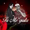 Stream & download Tú Me Gusta (feat. La Tigresa) - Single