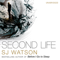 S. J. Watson - Second Life artwork