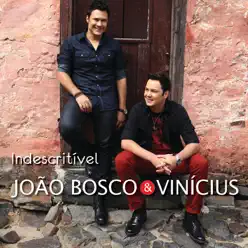 Indescritível (Live) - João Bosco e Vinícius