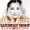 Saturday Night (DJ Ross 2K17 Remix) - Single