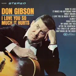 I Love You So Much It Hurts - Don Gibson