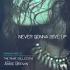 Never Gonna Give up (Remixes Part 2) [feat. Angie Brown] - Single album lyrics, reviews, download
