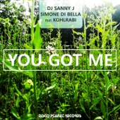 You Got Me (feat. Kohlrabi) artwork