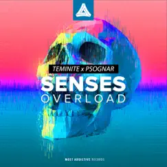 Senses Overload Song Lyrics