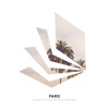 Paris (feat. Shaun Reynolds & Romy Wave) [Remix] - Single
