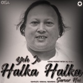 Yeh Jo Halka Halka Saroor Hai artwork