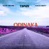 Odinaka (feat. DJ Neptune & Duncan Mighty) - Single album lyrics, reviews, download