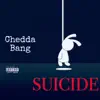 Suicide album lyrics, reviews, download