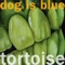 The Way It Goes - Dog Is Blue lyrics