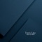 Dust - Travis Lake lyrics