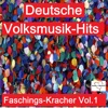 Deutsche Volksmusik-Hits: Faschings-Kracher, Vol. 1