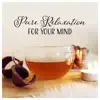 Pure Relaxation for Your Mind - Wellness Center, Spa, Massage, Yoga, Fight Stress and Find Serenity album lyrics, reviews, download