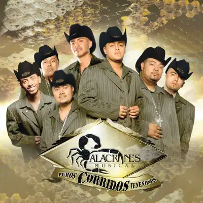 Puros Corridos Venenosos - Alacranes Musical