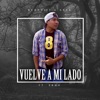 Vuelve a Mi Lado (feat. Erna) - Single