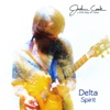 Delta Spirit