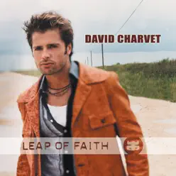 Leap of Faith - David Charvet