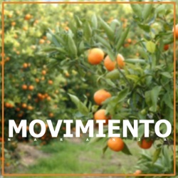 Yuawi & Moisés Barba - Movimiento Naranja