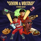 Strike Back artwork