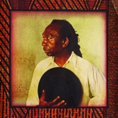 Chimurenga: African Spirit Music artwork