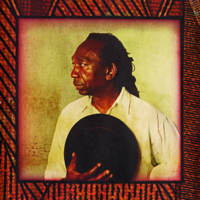 Thomas Mapfumo - Chimurenga: African Spirit Music artwork