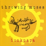 Throwing Muses - Devil's Roof