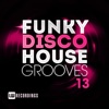 Funky Disco House Grooves, Vol. 13