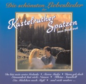 Die schönsten Liebeslieder der Kastelruther Spatzen, 1992
