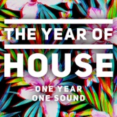 The Year of House artwork