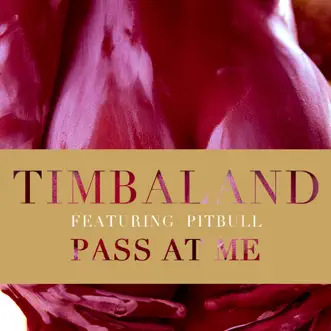 Pass At Me (feat. Pitbull) by Timbaland song reviws